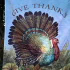 Garden Porch Flag  Give Thanks  Thanksgiving Turkey Fruit Pumpkins 28    X 40   