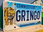 Rare Connecticut Vanity License Plate Gringo Conserve Wildlife Bobcat White Guy