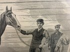 Dexter The Fastest Trotting Horse In The World Harper s Weekly 1865 Framed Art