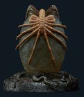 Sideshow Alien Egg Statue 200526 Limited Edition New In Box