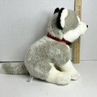 Fao Schwarz Siberian Husky Wolf Puppy Dog 10  Plush Red Collar 2018 Toy Blue Eye