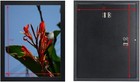 10x12 Inch Picture Frame Black Wood Without Mat For Display Certificate photo pi