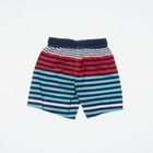 Mickey Mouse Toddler Boy Striped Swim Trunks Multi Size 3t 4251