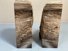 Petrified Wood Bookends About 9x2x5 Inch Over 5 Lb Polished Rough Live Edge A1