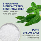 Body Wash With Pure Epsom Salt  Relax   Relief With Eucalyptus   Spearmint  24 F