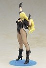 Dc Comics Bishoujo Dc Universe Black Canary 2nd Edition 1 7 Scale Pvc Painted