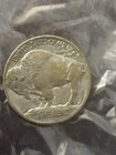 1913 5c Type I Buffalo Nickel - Free Shipping Usa
