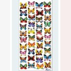 Violette Stickers - Colorful Painted Butterflies Sticker Sheet  - Planners