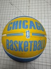 Elena Delle Donne Signed Chicago Wnba Spalding Arena Basketball Ships Fast
