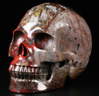 Huge 5 0  Dragon Bloodstone Carved Crystal Skull  Realistic  Crystal Healing