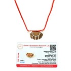 Lab Certified 1 Mukhi Rudraksha One Faced Rudraksha Pendant Original Locket