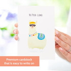 40 Funny Postcards Punny Puns - Bulk Thinking Of You Postcard Pack For Friends 
