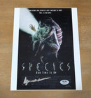 Roger Donaldson Signed 8x10 Photo Autograph Psa Dna Director Species Poster