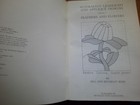 Vintage Australian Leadlight   Applique Designs Stained Glass Pattern Book