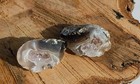 Natural Agate Geode Pair  Beautiful Polished Baby Brazilian Agate Geode 13g