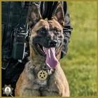 Sacramento Police Department Canine K9 California