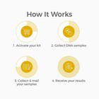 Genetrace Dna Sibling Test At-home Collection Kit For Full   Half Siblings