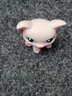 Littlest Pet Shop Pig Figure Blue Eyes Hasbro Toy Animal Lps Authentic Kids Gift