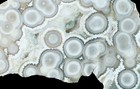 Old Stock Aaa Grade Marovato Ocean Jasper Specimen