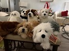 Lot Of 14 Vintage Dakin Lou Rankin Friends Wordsworth Plush Collection