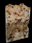 Xl Mind Blowing Birdseye Red Oak Burl Wood Blank Craft epoxy Wood  Spaghetti Oak