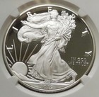 2019-s Proof Silver Eagle S 1 - Ngc Pf 70 Ucam  Limited Edition Set