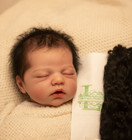 Mohair For Reborn Doll  Rooting  Loutrais Mohair Premium - 10 Grams Black