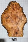 T615 Cherry Burl Live Edge Tree Slice Cookie  Birds Eye   Flamed