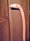 Walking Stick Cane Faux Scrimshaw Carved Tooth Handle Wood Shaft Cane Rubber Tip