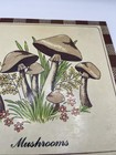 Vintage 1970s Mushroom Wall Plaque 8    Lightweight Retro Kitchen Decor