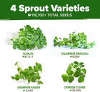 Premium Non-gmo Sprouting Seeds Mix 118 200  Seeds Microgreens 4 Variety Blend B