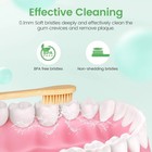 Bamboo Toothbrushes Soft Bristles 10 Pack  Biodegradable Bpa Free Soft Bristles 