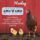 Henlay Laid Local Egg Cartons - Adorable Printed Vintage Design - 25  90  Or 250