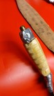 Vintage Misc   Deer Hunting  Knife 