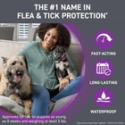 Frontline Plus For Dogs 45 To 88 Pounds 6 Doses    just Like Your Vet Sells 