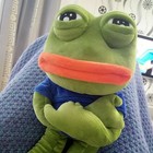 45cm Sad Frog Plush Toy Soft Stuffed Pillow Expression Pepe The Sad Frog Animal 