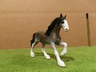 Custom Peter Stone Chips Friesian To  clydesdale 