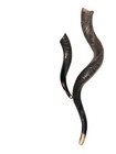 Yemenite Shofar Kudu Horn Set Xl 30   -35    free Gift New Kosher Made Free Shipping