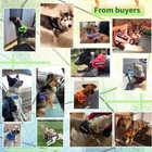 Service Dog Harness Esa Pet Vest Reflective Adjustable 4 Removeable Tags