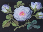 Antique victorian art Nouveau brooch 10k Frame handpainted Enamel Porcelain rose