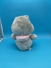 Vintage Grams Care Bear 15  Kenner 1983 Plush Stuffed Animal With Pink Shawl