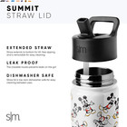 Kids Summit Water Bottle With Straw Lid   Disney Princess 14oz Stainless Steel C