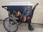 Summer Cart Street Mobile Cooler Cart Food Vendors Beverages Smoothies Fruits