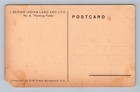 Vintage India Postcard Mangalore Indian Women Planting Paddy