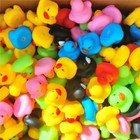 50pcs Rubber Ducks In Bulk assortment Duckies For Jeep Ducking Floater Bath Toys