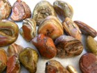 Agate Mine Rough Smaller Jewelry Size Multi Color 1 To 3 Inch 3 Pound Lots