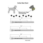 Leather Dog Collar Accent Stitched_medium  Large  Xl_1  Wide_amish Handmade
