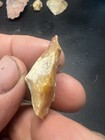 Lt Group  100  Authentic Archaic Indian Flint Knife Tool From The Wolf Fam  Coll