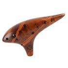 Ocarina 12 Hole Alto C Flute Wind Instrument Natural Sound Easy To Learn Early