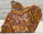 Agua Nueva Sagenitic Feather Moss Jasper Agate Rare Lapidary Rough Slab